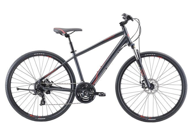 Napier Bike Hire - Detailed Itinerary and Route Options