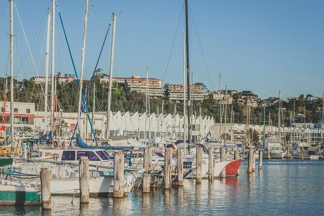 Napier Bike Hire - Authentic Experiences Reported by Riders