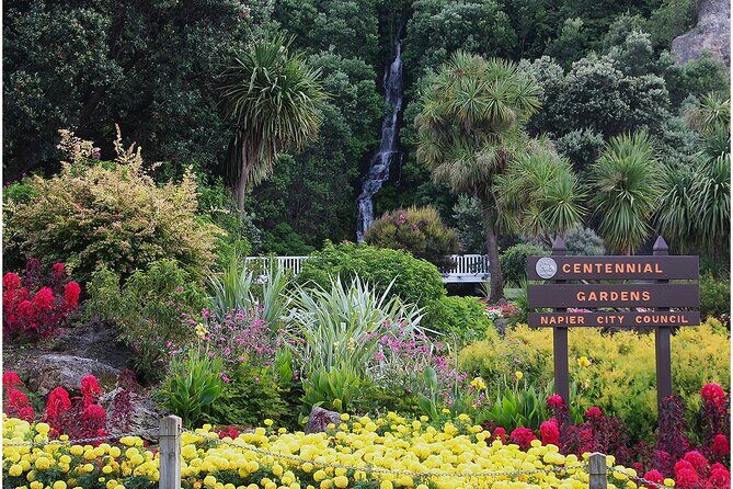 Napier City with 2 Premium Wineries Tour - Key Points