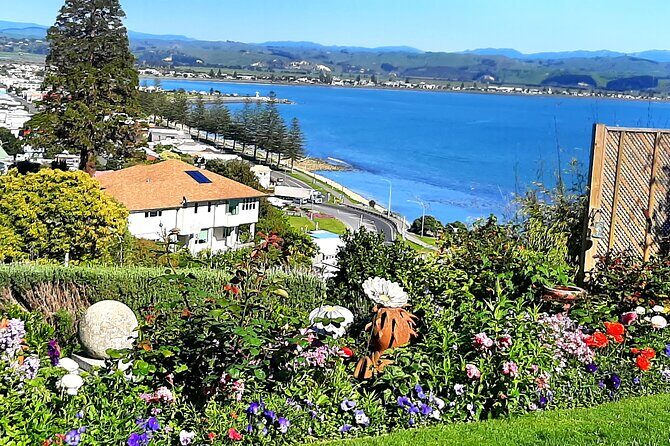 Napier City with 2 Premium Wineries Tour - Why This Tour Is a Great Choice