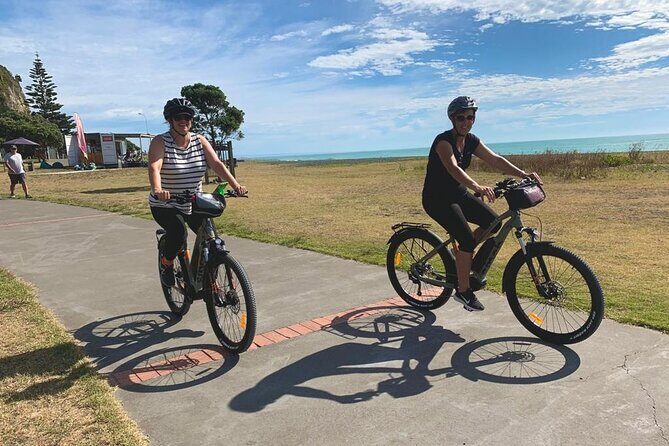 Napier: Shore Excursion Cycle Winery Tour - Half Day, self-guided - Detailed Itinerary Breakdown