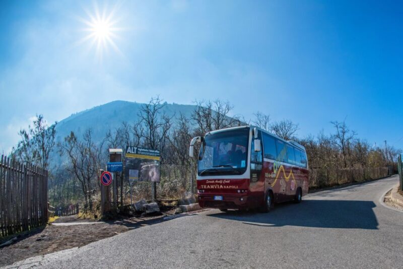 Naples Bus Excursion: Explore Vesuvius On Your Own - A Deep Dive into the Experience