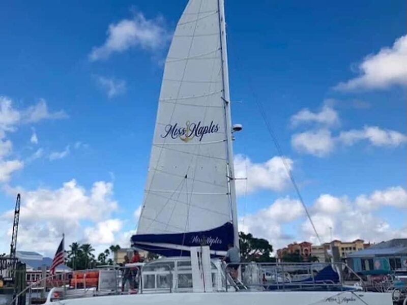 Naples: Catamaran Cruises with Wildlife Views - Authentic Perspectives from Travelers
