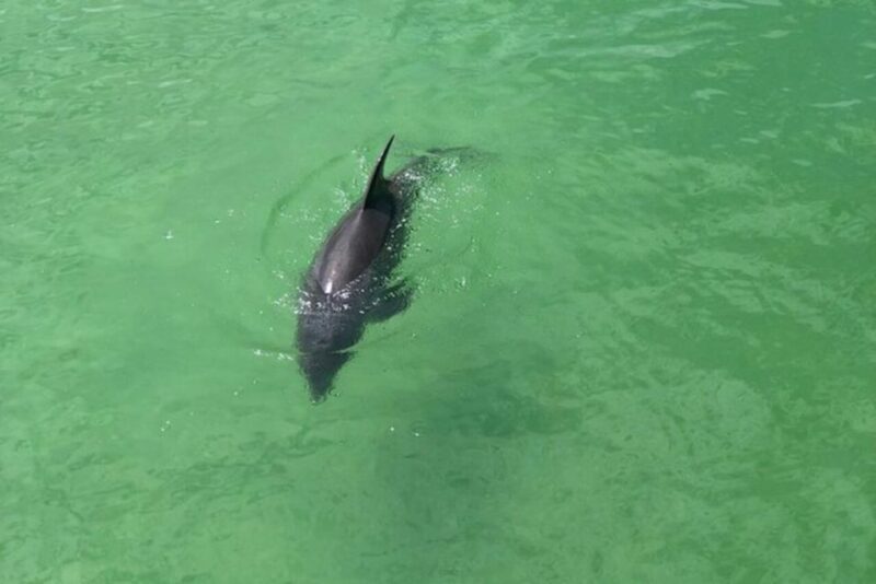 Naples, FL: Group Sightseeing Guided Bike Tour - In-Depth Review of the Naples Guided Bike Tour