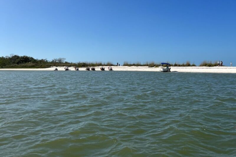 Naples, FL: Manatee, Dolphin, 10,000 Islands Beach Eco Tour - Final Thoughts