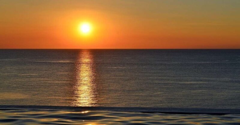 Naples, FL: Manatee, Dolphin, 10,000 Islands Sunset Cruise - Final Thoughts