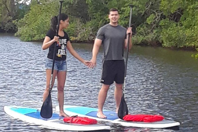 Naples Fl, Paddleboard Mangrove Forest Tour - A Closer Look at the Paddleboard Mangrove Forest Tour