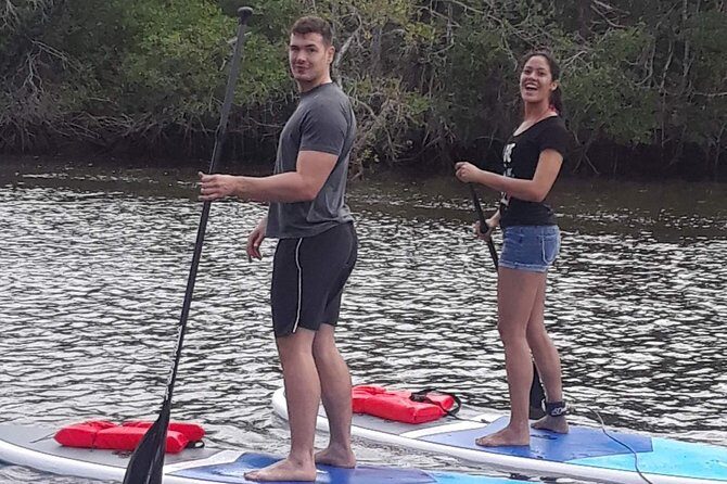 Naples Fl, Paddleboard Mangrove Forest Tour - Who Should Consider This Tour?