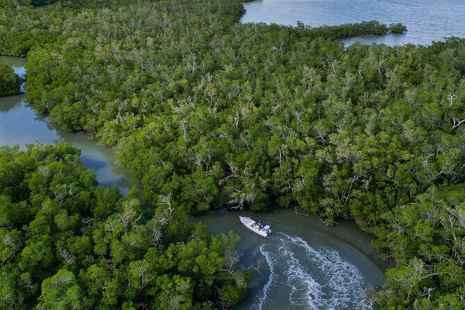 Naples Half-Day Fly Fishing Activity - The Experience in Detail