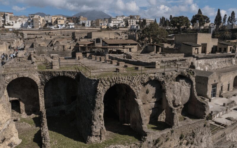 Naples: Herculaneum Entry Ticket with Digital Audio Guide - Who Should Consider This Tour?