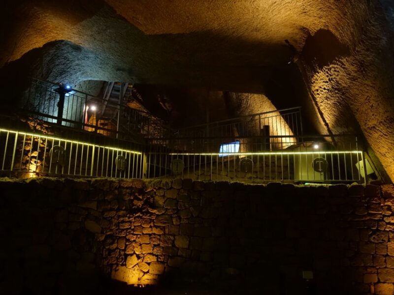 Naples: LAPIS Museum Guided Visit in Italian - Who Should Book This Tour?