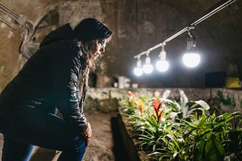 Naples: Naples Underground Entry Ticket and Guided Tour - Key Points