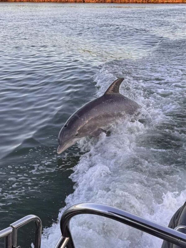 Naples-Port Royal Breakfast Private Cruise with Dolphin tour - FAQs