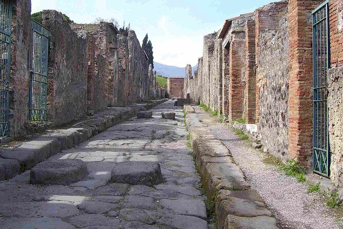 Naples Shore Excursion: Pompeii Half Day Trip from Naples - The Details: What You Can Expect