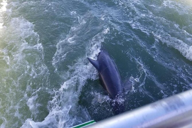 Naples Sightseeing Boat Tour - Final Thoughts