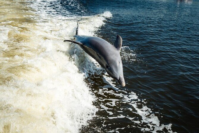 Naples Sightseeing Day Cruise 40' Vessel - Key Points