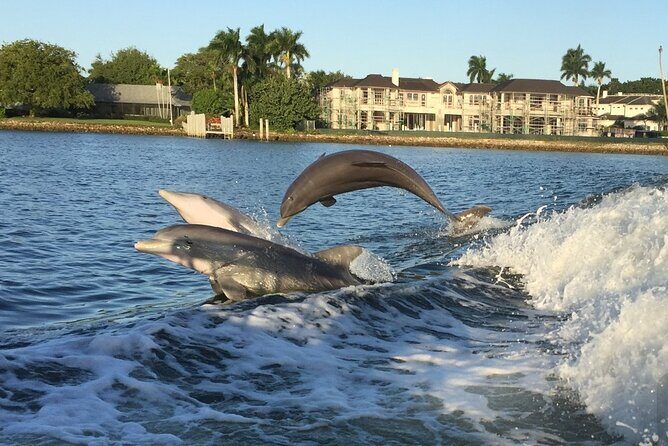 Naples Sightseeing Day Cruise 40' Vessel - FAQ