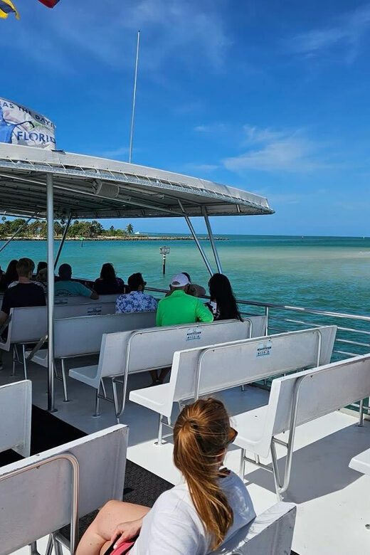 Naples: Sightseeing Day Cruise on the Gulf of Mexico - An In-Depth Look at the Naples Gulf of Mexico Cruise
