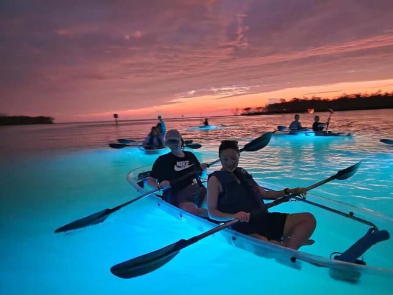 Naples: Sunset and Glow Clear Kayak Tour - Why You Should Consider This Experience