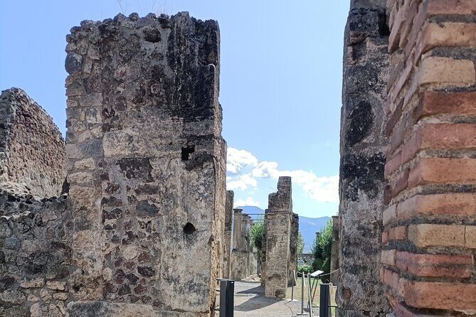 Naples transfer to Pompeii guided tour and Back - Who Would Love This Experience?