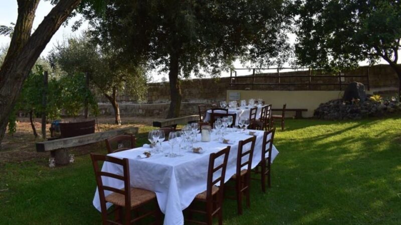 Naples: winery tour & wine tasting on Astroni crater - What Travelers Say