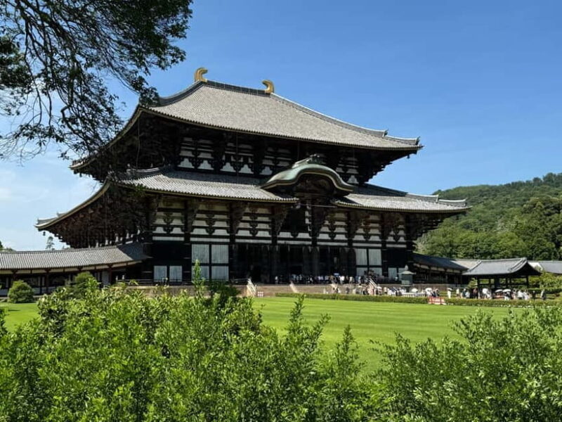 Nara: 3-Hour Guided Tour with Deer, Great Buddha & Shrines - Practicalities: What to Expect and Consider