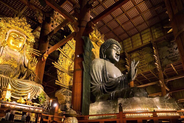 Nara 8hr Private Tour - Osaka DEP. with Licensed Guide - At a glance