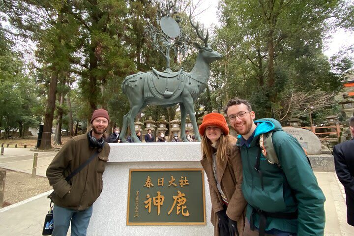 Nara 8hr Private Tour - Osaka DEP. with Licensed Guide - Access and practical details