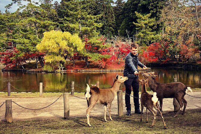 Nara Adventure: Todaiji, Kasuga Shrine, Nara Park, Hozanji Temple - A Complete Guide to the Nara Adventure Tour: Todai-ji, Kasuga Shrine, Nara Park, Hozanji Temple