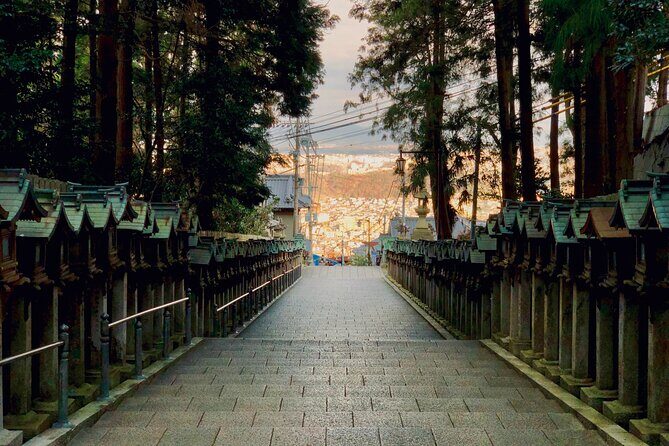 Nara Adventure: Todaiji, Kasuga Shrine, Nara Park, Hozanji Temple - Price and Value