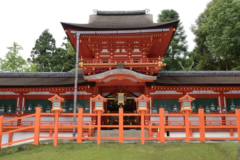 Nara Afternoon Tour from Kyoto & Osaka: Todai-ji, Nara Park & Kasuga - At a glance