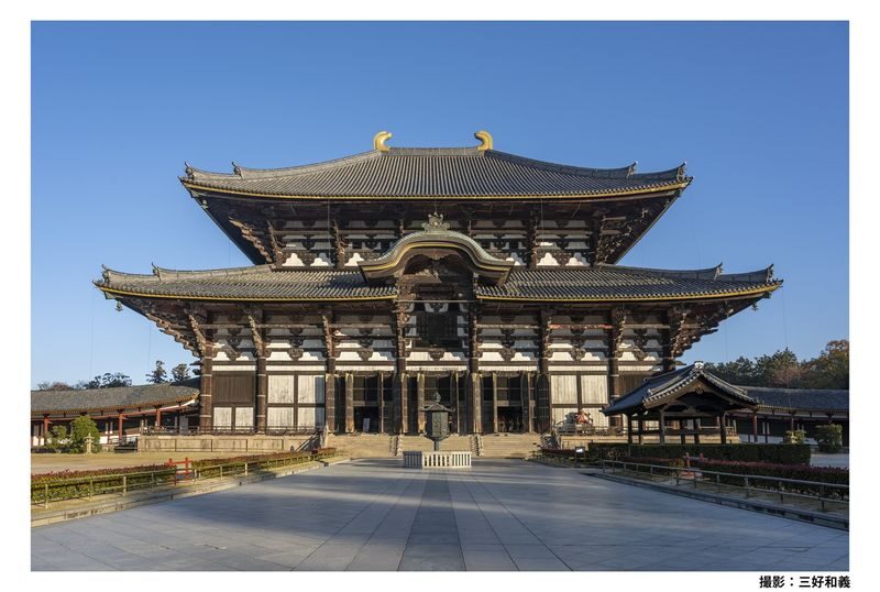 Nara Afternoon Tour from Kyoto & Osaka: Todai-ji, Nara Park & Kasuga - Nara Park and the deer