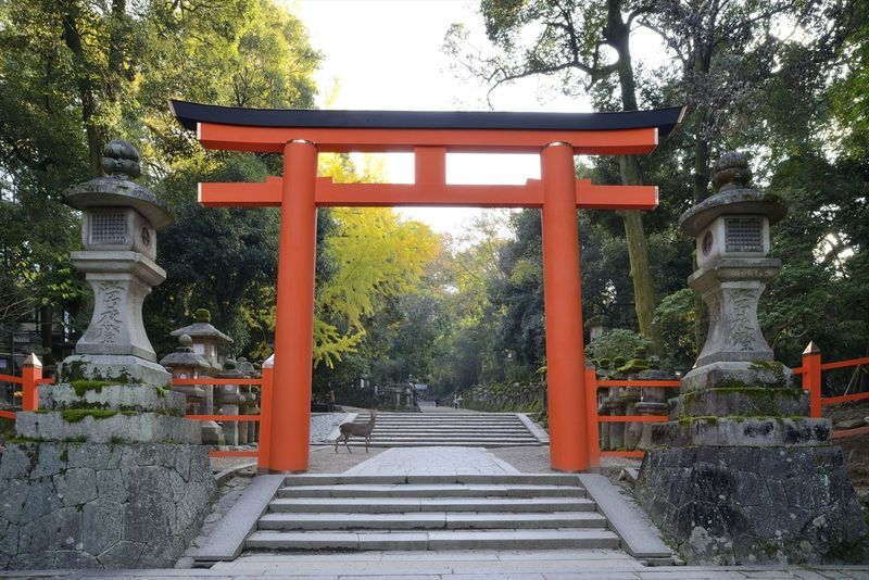 Nara Afternoon Tour from Kyoto & Osaka: Todai-ji, Nara Park & Kasuga - What the price covers, and what it does not