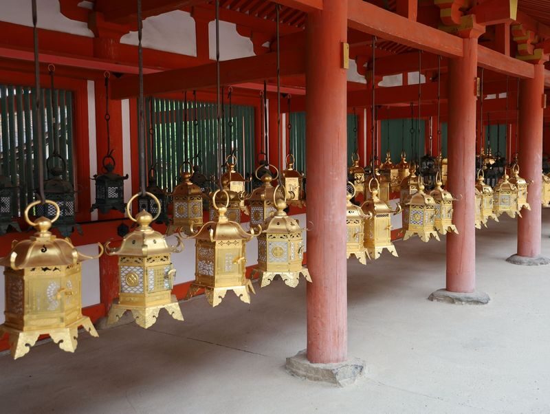 Nara Afternoon Tour from Kyoto & Osaka: Todai-ji, Nara Park & Kasuga - Who will appreciate this afternoon tour