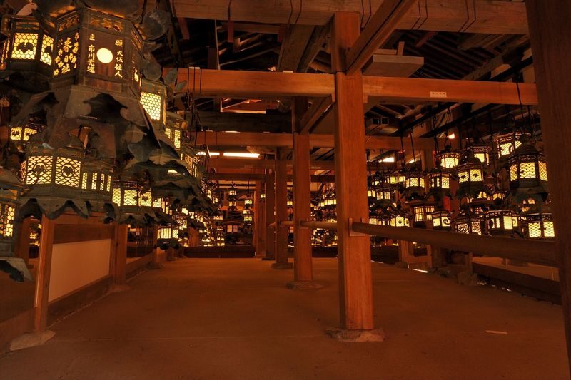 Nara Afternoon Tour from Kyoto & Osaka: Todai-ji, Nara Park & Kasuga - Should you book it?