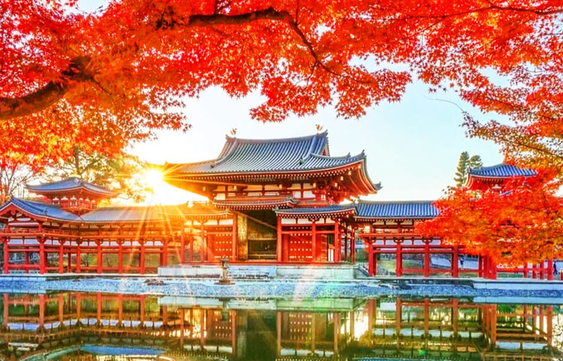 Nara and Uji Day Trip: Byodoin Temple, The Tale of Genji Museum, Uji Natural Hot Spring Genji no Yu, Nara Park, Todai-ji Temple, Kasuga Taisha Shrine - What to know before you book