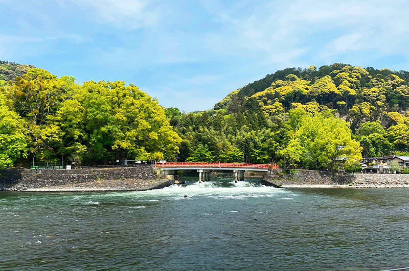 Nara and Uji Day Trip: Byodoin Temple, The Tale of Genji Museum, Uji Natural Hot Spring Genji no Yu, Nara Park, Todai-ji Temple, Kasuga Taisha Shrine - Timing, meeting point and useful cautions