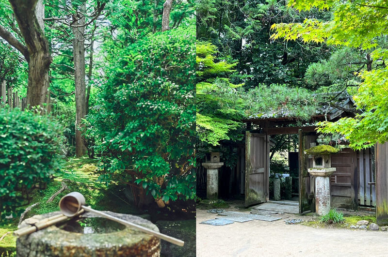Nara and Uji Day Trip: Byodoin Temple, The Tale of Genji Museum, Uji Natural Hot Spring Genji no Yu, Nara Park, Todai-ji Temple, Kasuga Taisha Shrine - Who should book this day trip?