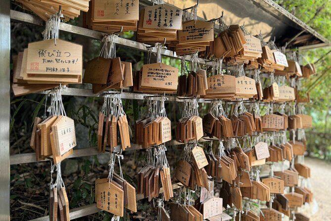 Nara: Asuka, Ancient Capital & Future Heritage Private Tour - Practicalities and Value