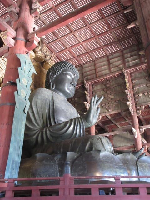 NARA: Budda gigante, Cervi liberi nel parco (Guida italiana) - Key Points