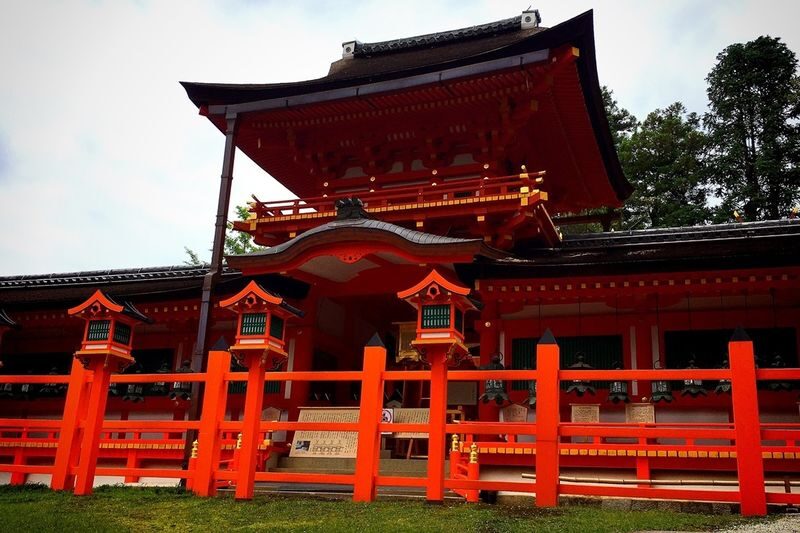 Nara Charter Car Customizable 1-Day Trip (from Kyoto) - Todai-ji and the Great Buddha
