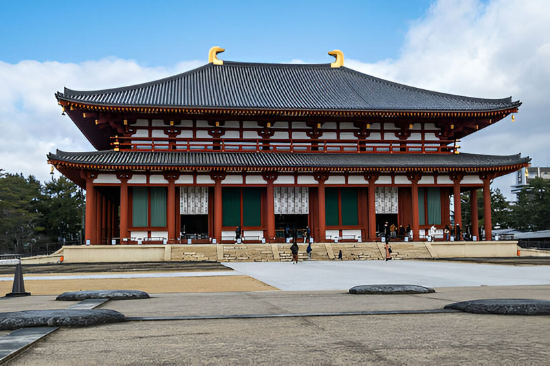Nara Charter Car Customizable 1-Day Trip (from Kyoto) - Deer and open space at Nara Park
