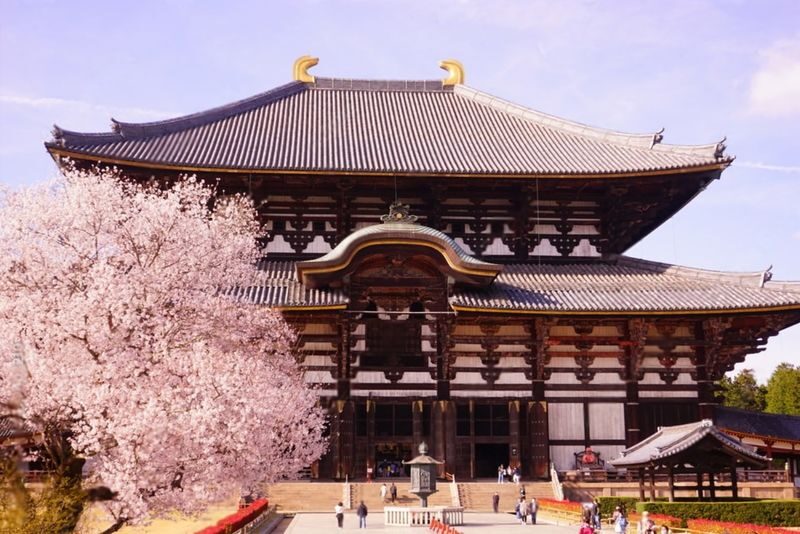 Nara Charter Car Customizable 1-Day Trip (from Kyoto) - Booking details to keep in mind