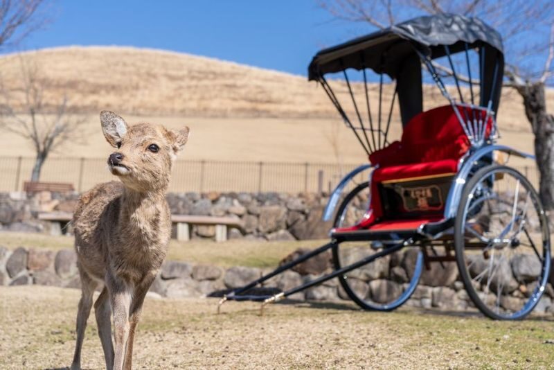 Nara City, Private Cultural Heritage Rickshaw Tour - Choosing between 70, 130, and 190 minutes