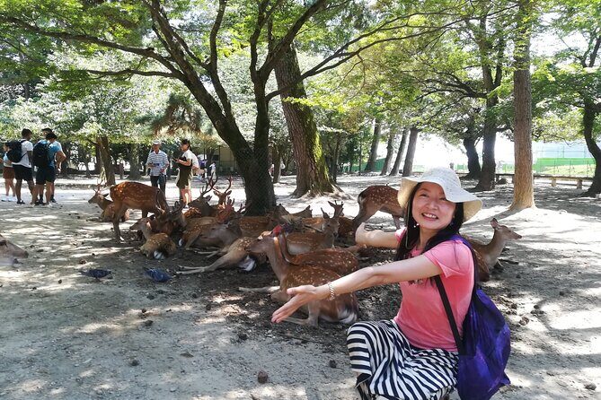 Nara Day Trip with Deer Park & Historic Temples,Shrine from Osaka - Discovering Nara: A Journey into Japan’s Past