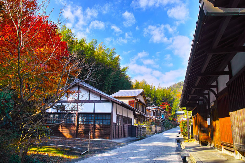 Nara Deer & Fushimi Inari-taisha Shrine & Arashiyama Day Trip (Departing from Osaka) - One day, three very different stops