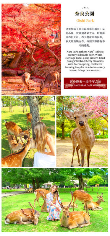 Nara Deer & Fushimi Inari-taisha Shrine & Arashiyama Day Trip (Departing from Osaka) - Nara Park: deer, crackers, and a long walk to Todai-ji