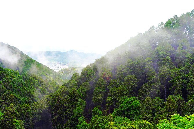 Nara: Discover a Giant Stone Buddha in the Forest Hills - What Makes This Tour Stand Out?