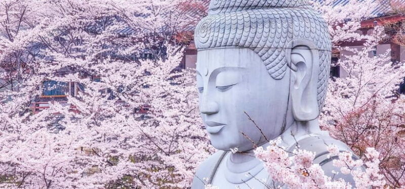 Nara: Discover a Giant Stone Buddha in the Forest Hills - Key Points