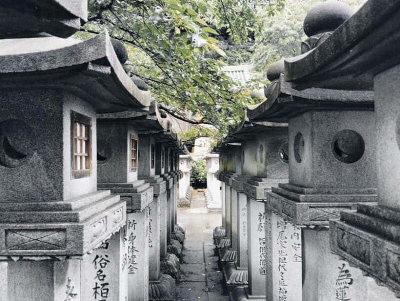 Nara: Discover a Giant Stone Buddha in the Forest Hills - Panoramic Views and Natural Beauty